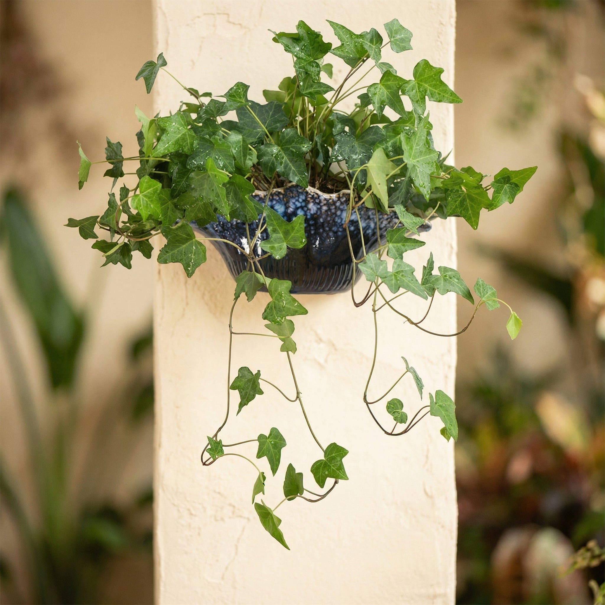 Eclipsed Bloom Ceramic Wall Vase