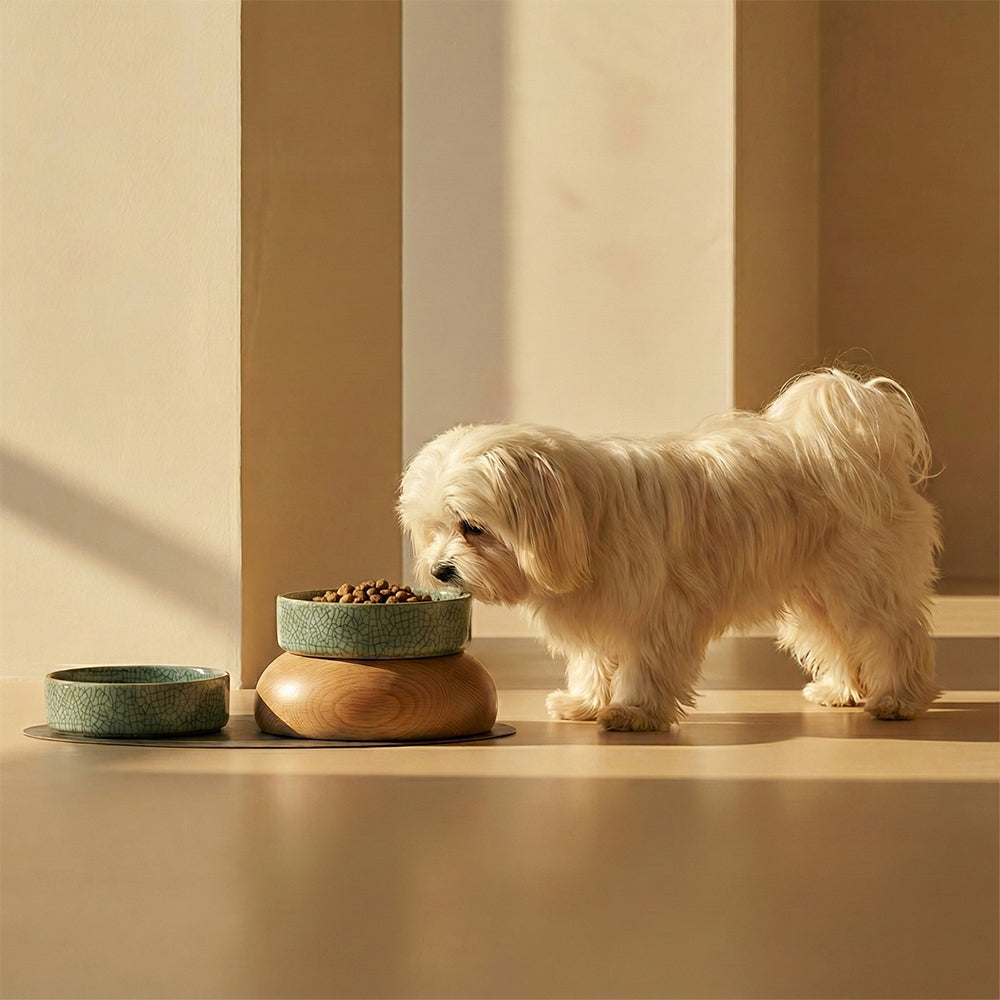Crackle Celadon Cat/Dog Pet Bowl