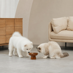 Ridgeline Raised Pet Bowl
