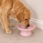 Lunelle Petal Raised Pet Bowl
