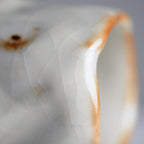 Yuanzhong, W. Unnamed Kiln｜Iron-Spotted Mizushino Freeform Texture