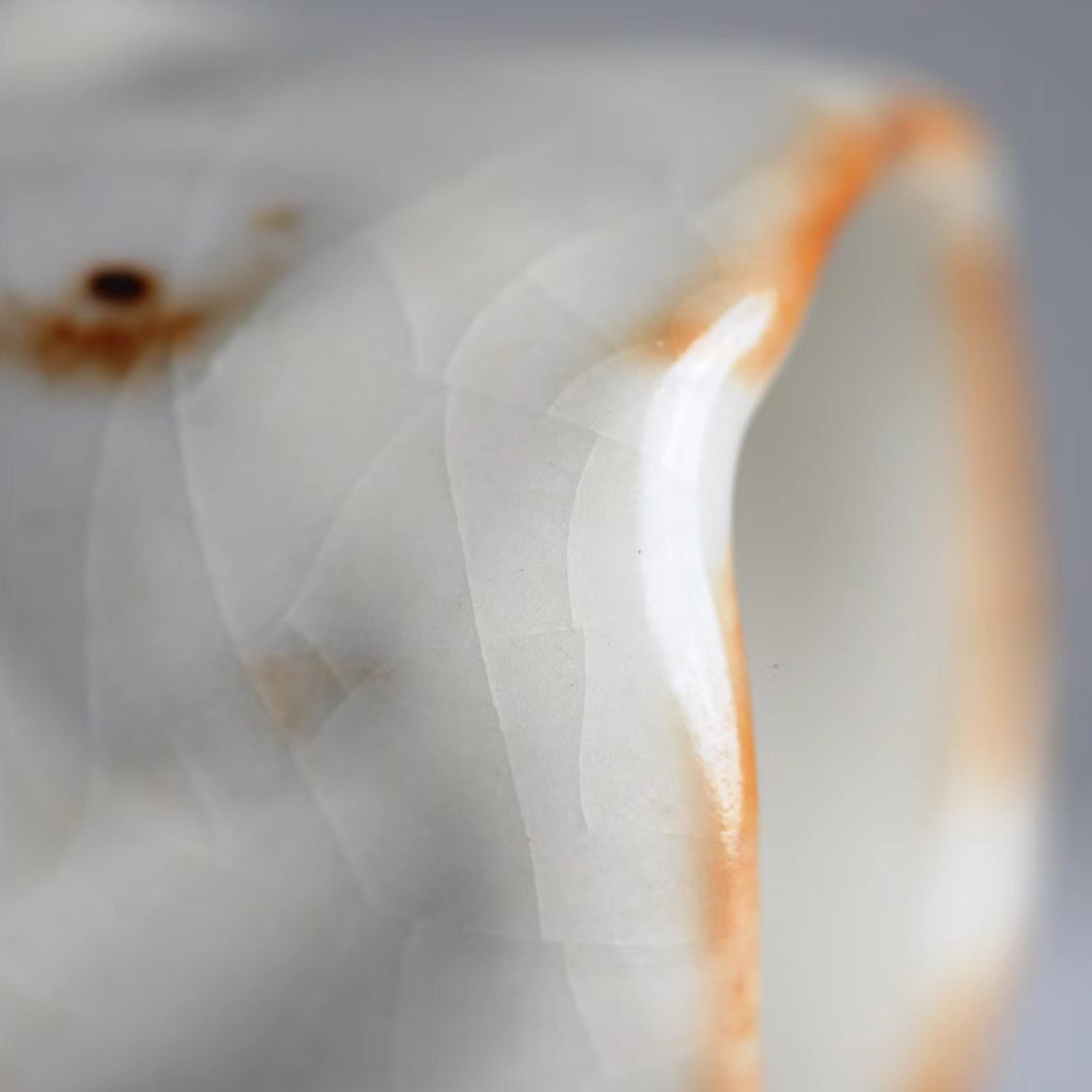 Yuanzhong, W. Unnamed Kiln｜Iron-Spotted Mizushino Freeform Texture