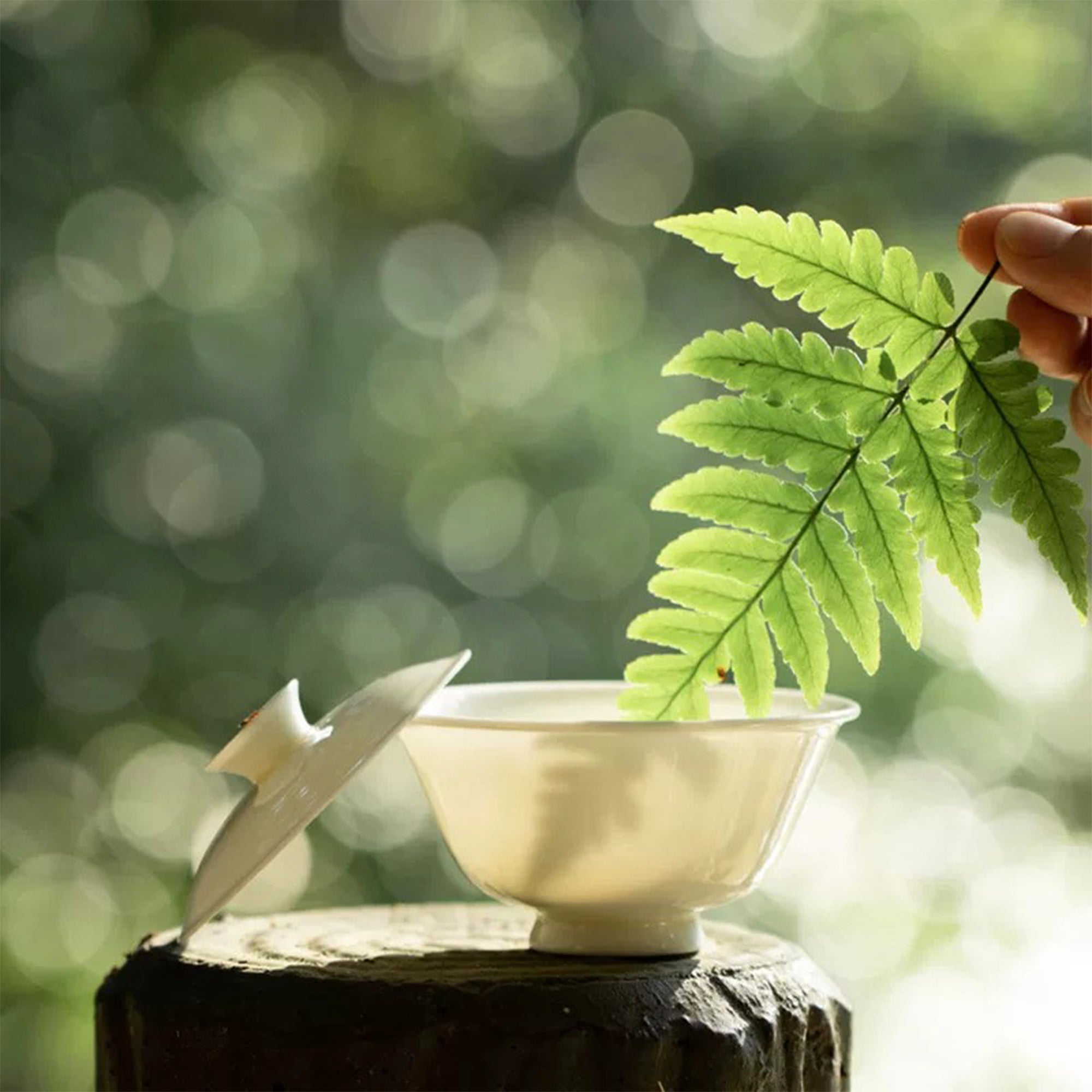 Whispering Hues Tea Cups