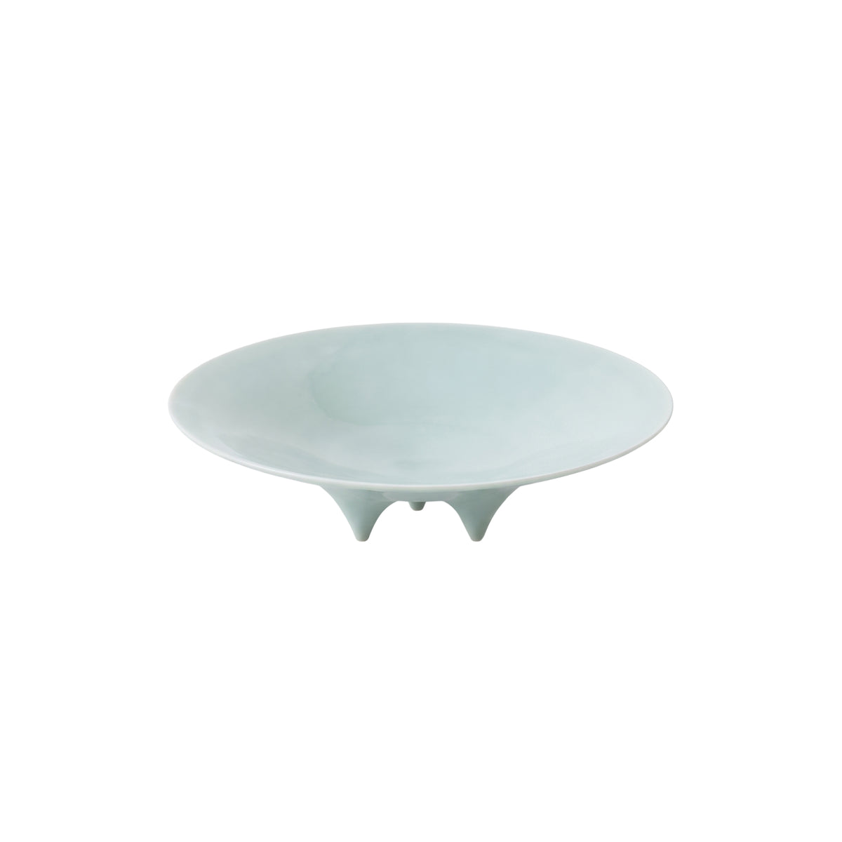 Elegant Flow Ceramic Plate